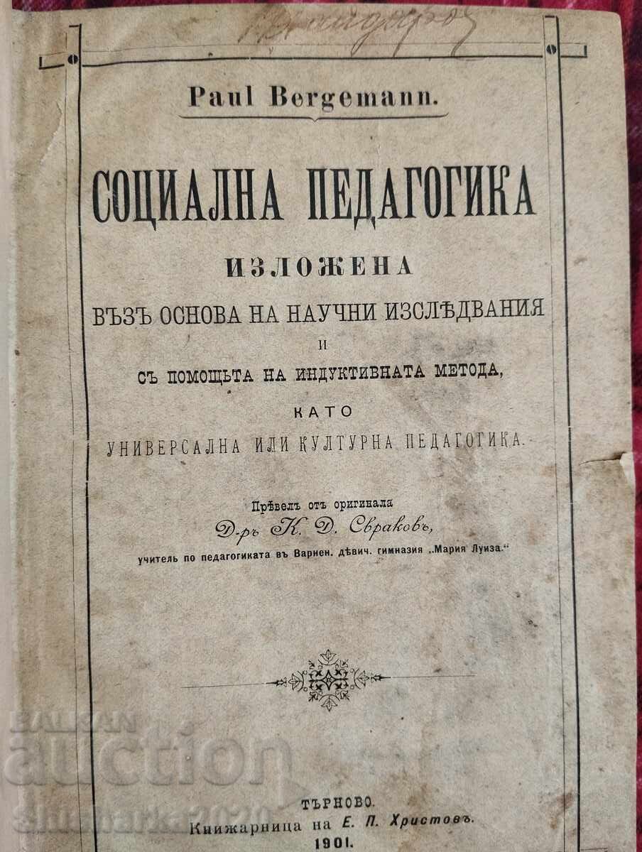 Auction  Social pedagogy