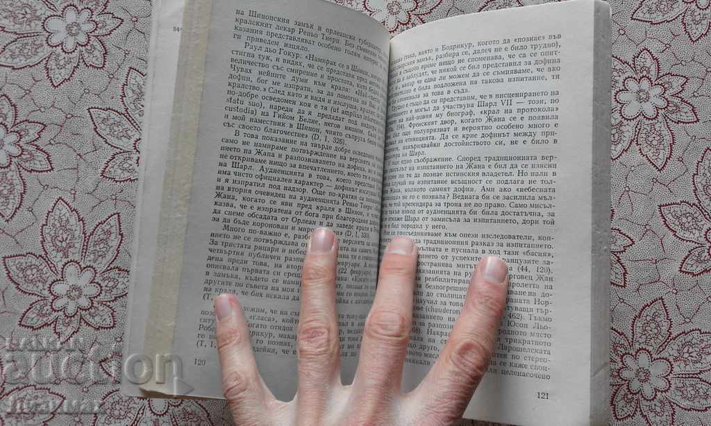 Delivery of Vladimir Raitses - Joan of Arc. Facts, legends, hypotheses