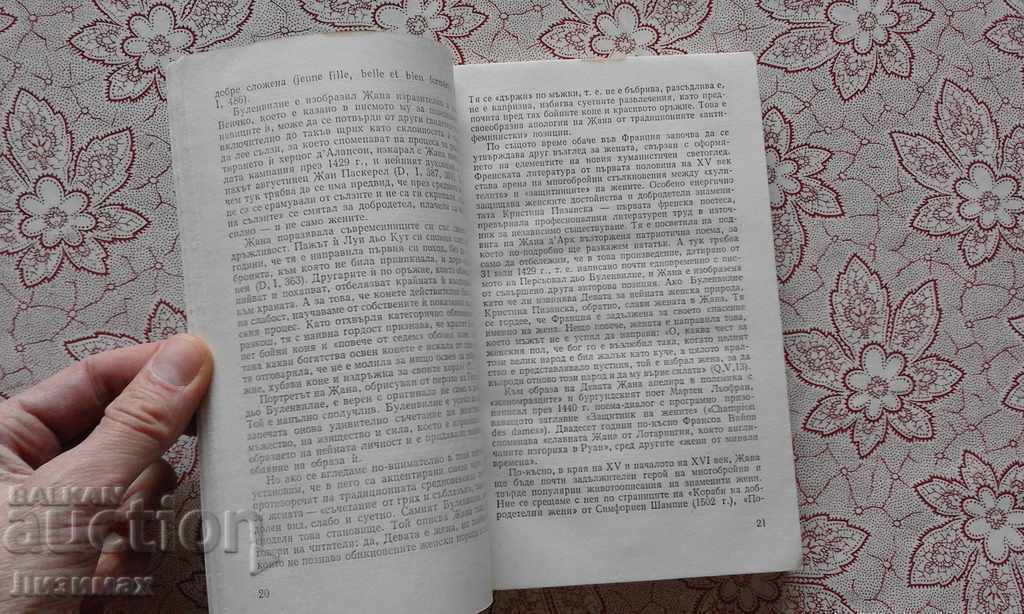 Vladimir Raitses - Joan of Arc. Facts, legends, hypotheses - 7