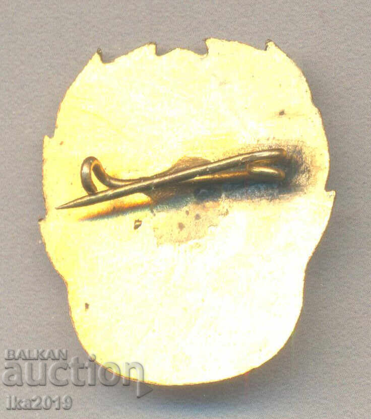 A rare awarded sports badge For Merit to the Bulgarian Olympic Committee, 1st degree is with price 77.00 BGN | € 39.37 A rare awarded sports badge For Merit to the Bulgarian Olympic Committee, 1st degree is with price 77.00 BGN | € 39.37