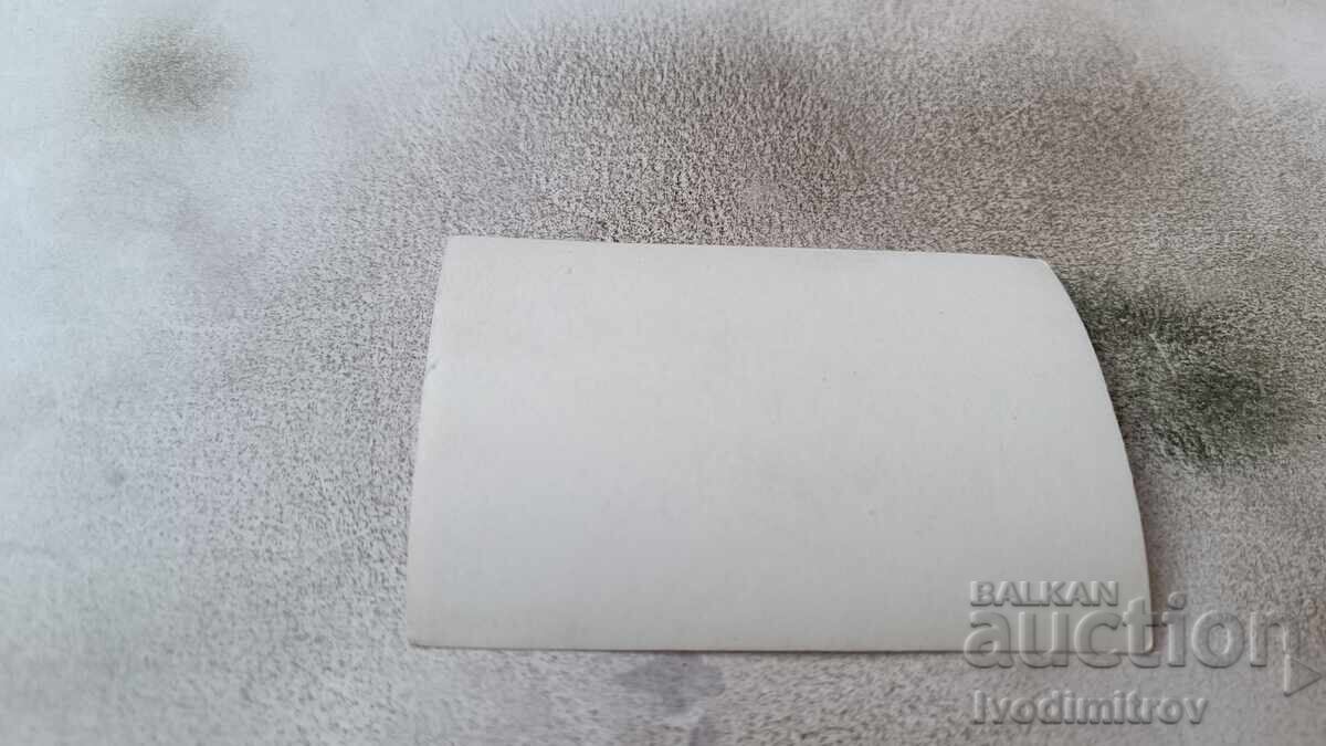 Photo Festive procession on the street with price 1.65 BGN | € 0.84 Photo Festive procession on the street with price 1.65 BGN | € 0.84