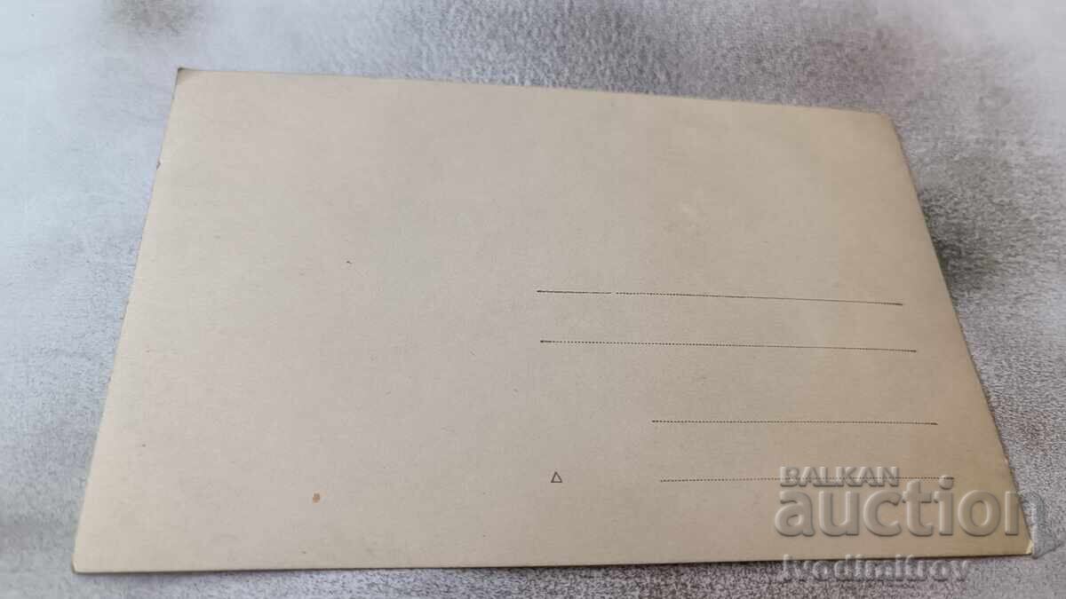 Photo Congress participants with price 2.15 BGN | € 1.10