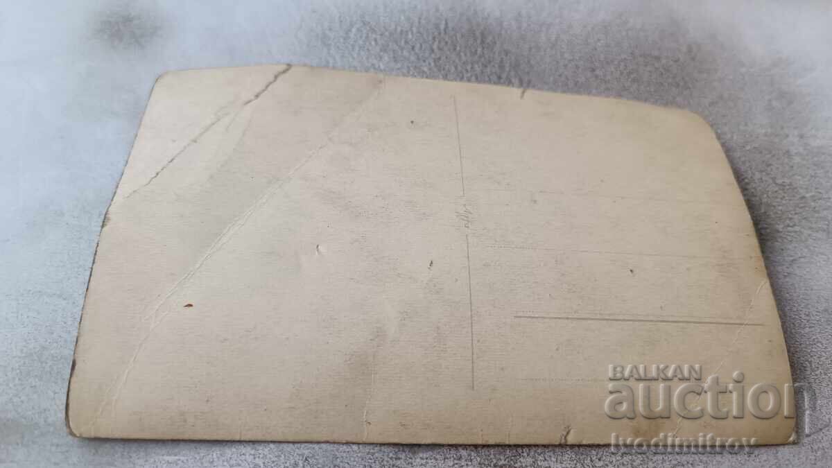 Photo Young girl on the grass with price 1.65 BGN | € 0.84 Photo Young girl on the grass with price 1.65 BGN | € 0.84