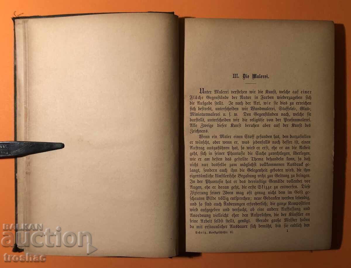 Delivery of Old Book Art History of Art Alvin Schultz 1884 Delivery of Old Book Art History of Art Alvin Schultz 1884