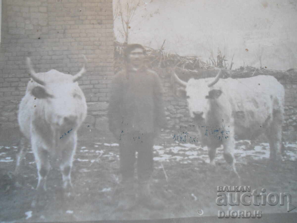 Old postcard, LEONAR with price 1.00 BGN | € 0.51 Old postcard, LEONAR with price 1.00 BGN | € 0.51