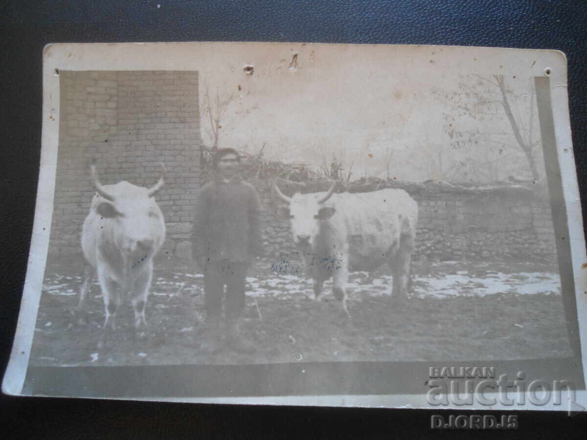 Old postcard, LEONAR Old postcard, LEONAR