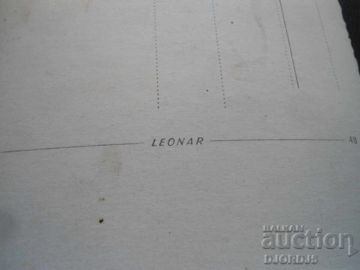 Auction  Old postcard, LEONAR