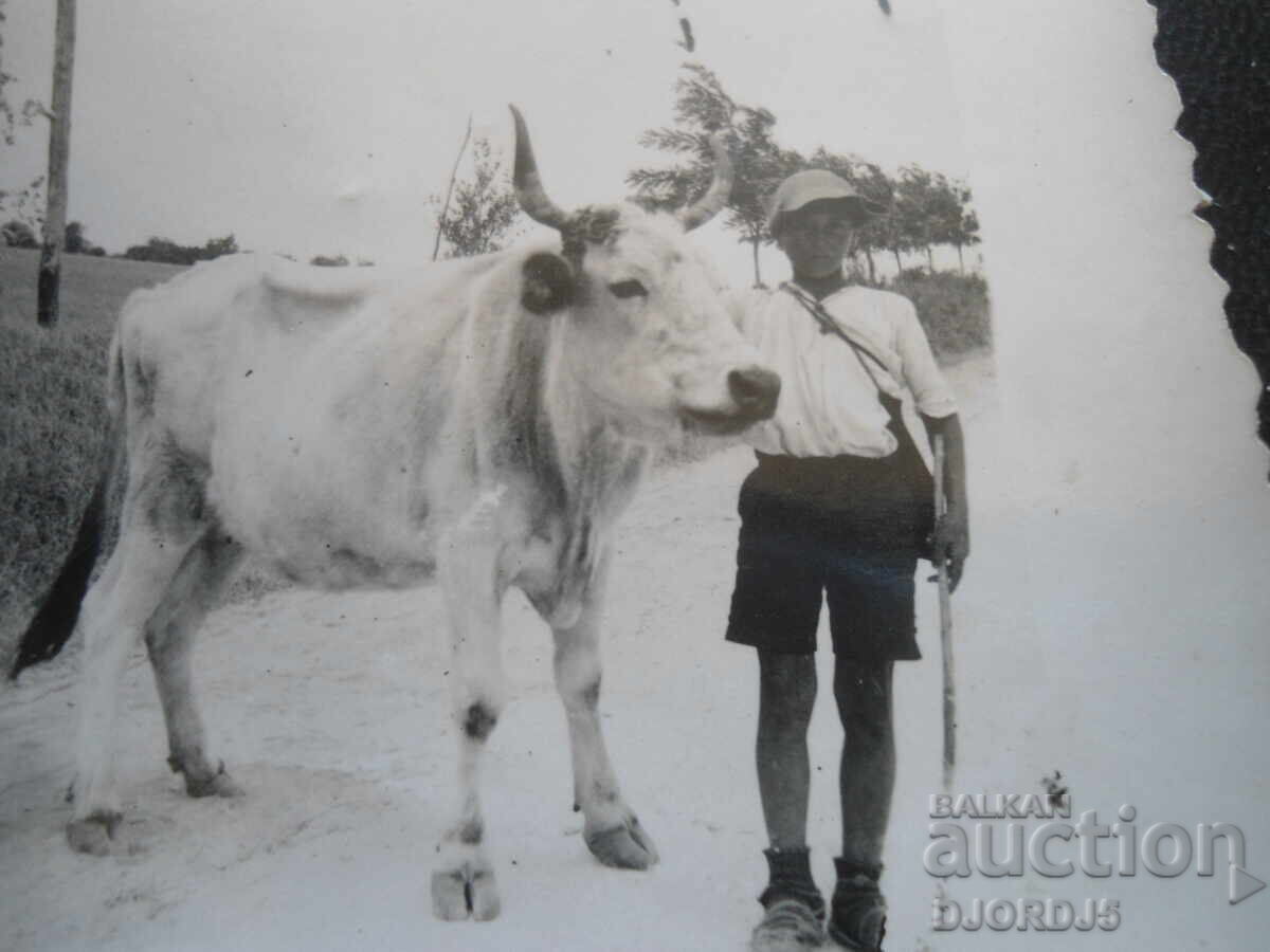 old photo with price 1.00 BGN | € 0.51 old photo with price 1.00 BGN | € 0.51