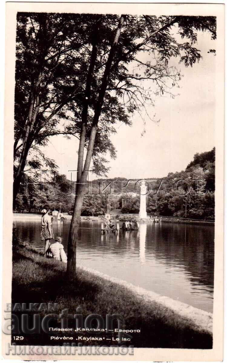 OLD CARD GRASS VIEW FROM KAYLAKA D509