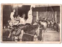 1966 OLD PHOTO ISRAEL TEL AVIV CIRCUS BULGARIAN JEWS D513