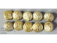 Bulgaria lot 10 Old buttons Officer's uniform lion 22 mm