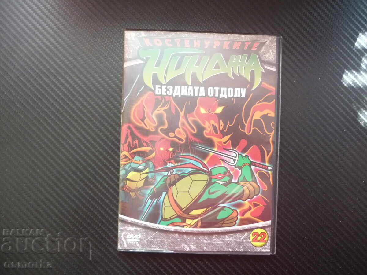 Teenage Mutant Ninja Turtles 22 DVD Movie The Abyss Below Schroeder Kara