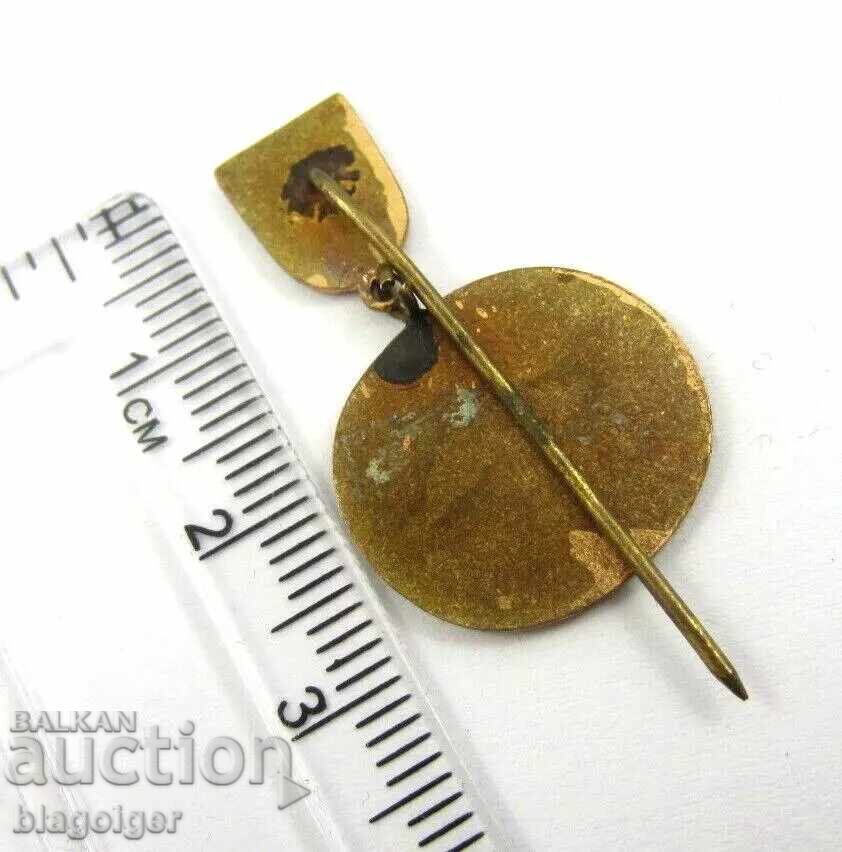 Delivery of Excellent-Pioneer-Social-Competition-Enamel-Award