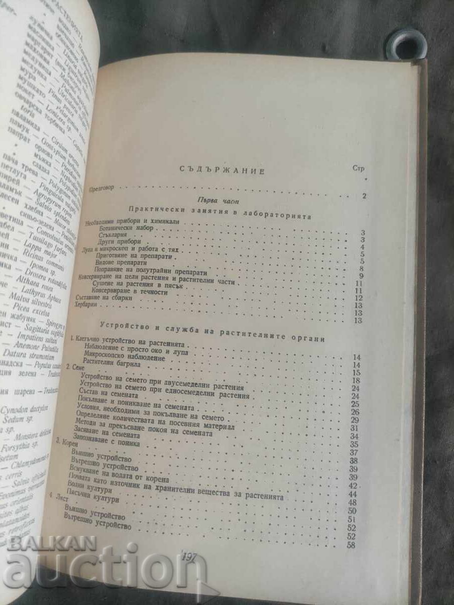 Οδηγός πρακτικής βοτανικής με τιμή 15.00 BGN | € 7.67