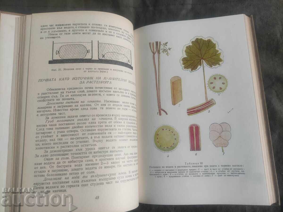 Δημοπρασία Οδηγός πρακτικής βοτανικής