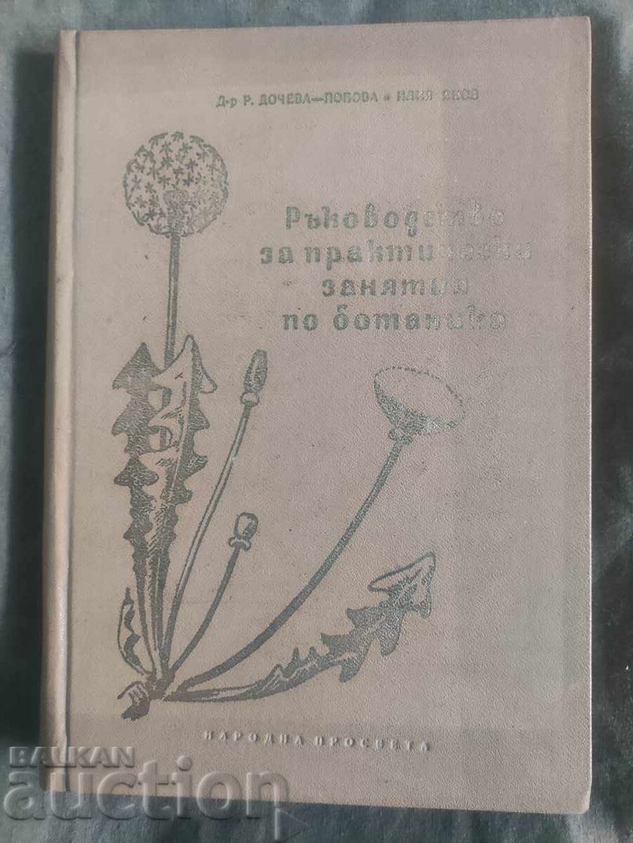 Οδηγός πρακτικής βοτανικής