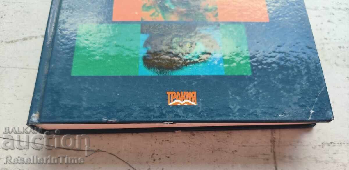 Аукцион Маркетингови изследвания за маркетингови решения...