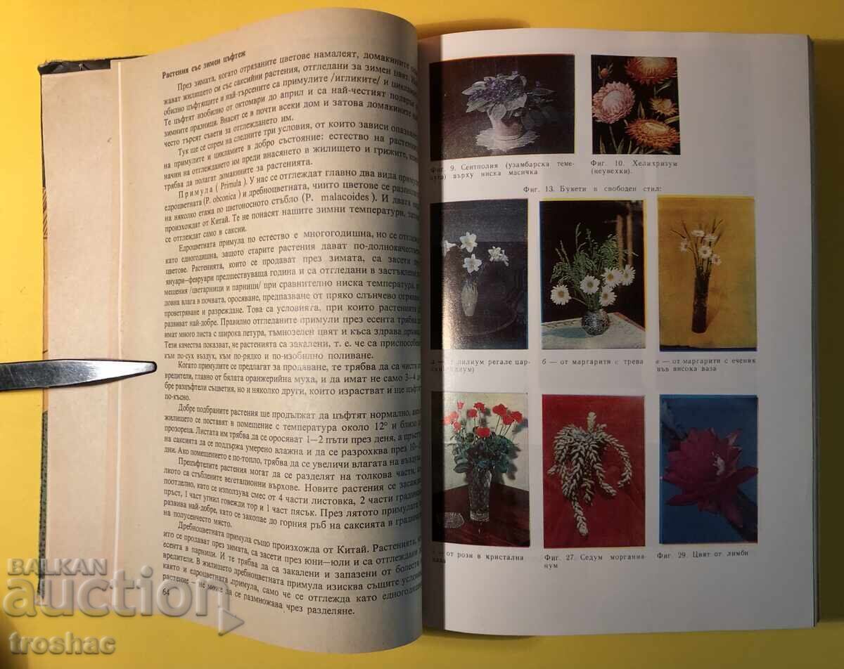 Auction An Old Book For Every Day and Every Home Household Encyclopedia Auction An Old Book For Every Day and Every Home Household Encyclopedia