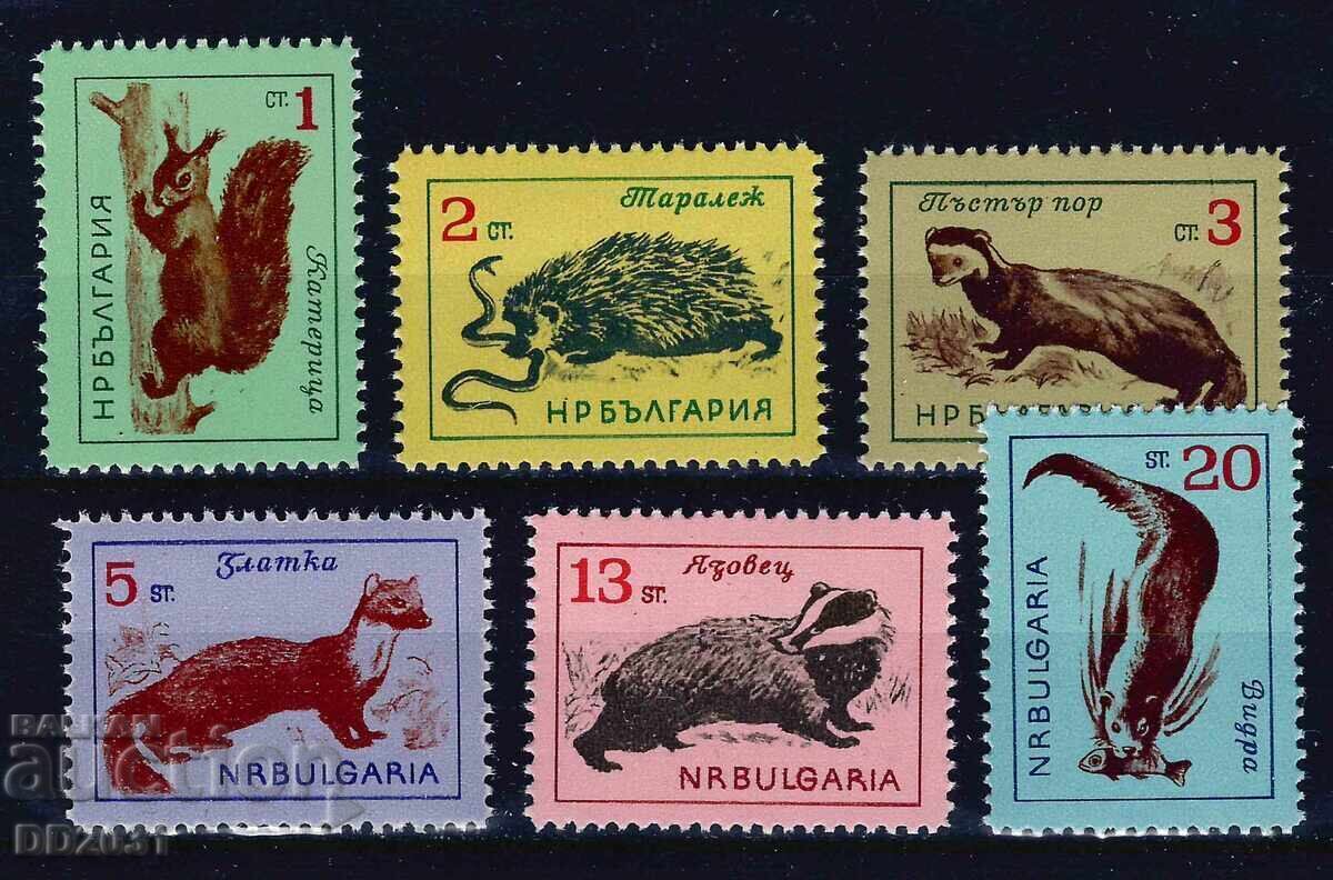 Bulgaria 1963 - fauna MNH