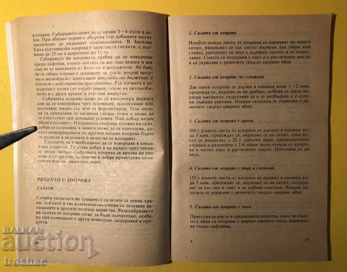 Livrarea Carte Veche Urzică și Păpădie 200 de Rețete Culinare și Sănătate