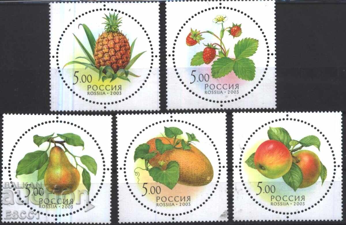 Pure Brands Flora Fruits 2003 from Russia Pure Brands Flora Fruits 2003 from Russia
