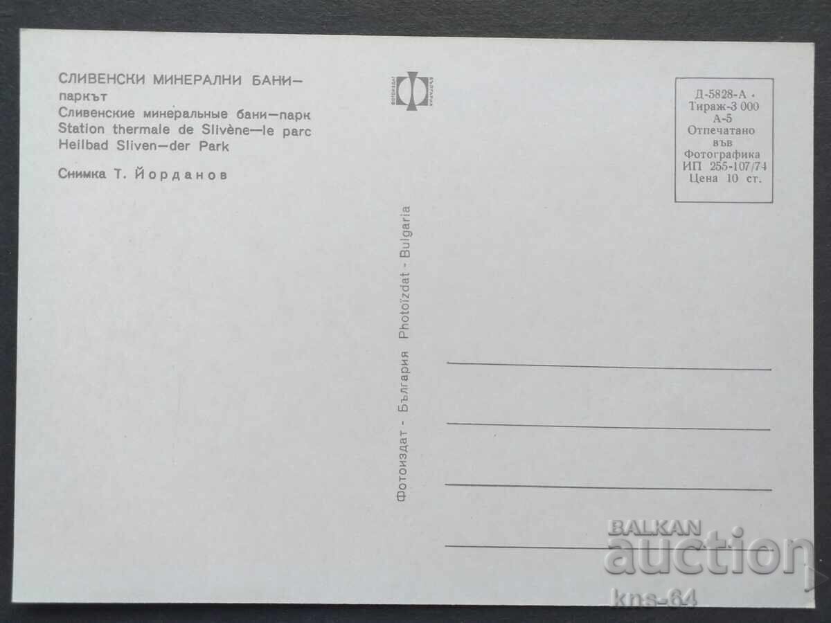 PLUM with price 0.75 BGN | € 0.38