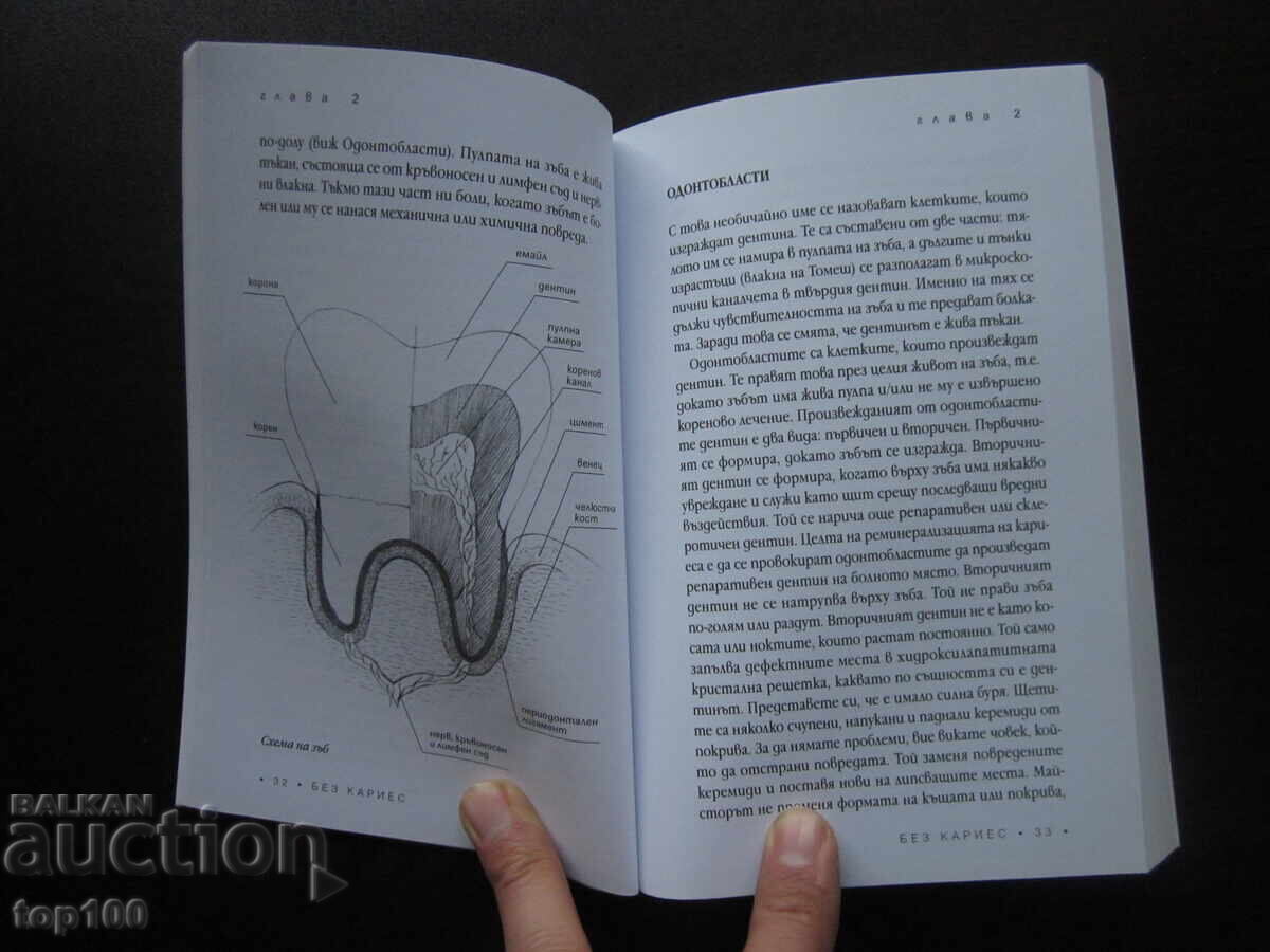 БЕЗ КАРИЕС ОТ д-р РАДОСВЕТА СИМЕОНОВА 2019г. !!! с цена 10.00 лв. | € 5.11 БЕЗ КАРИЕС ОТ д-р РАДОСВЕТА СИМЕОНОВА 2019г. !!! с цена 10.00 лв. | € 5.11