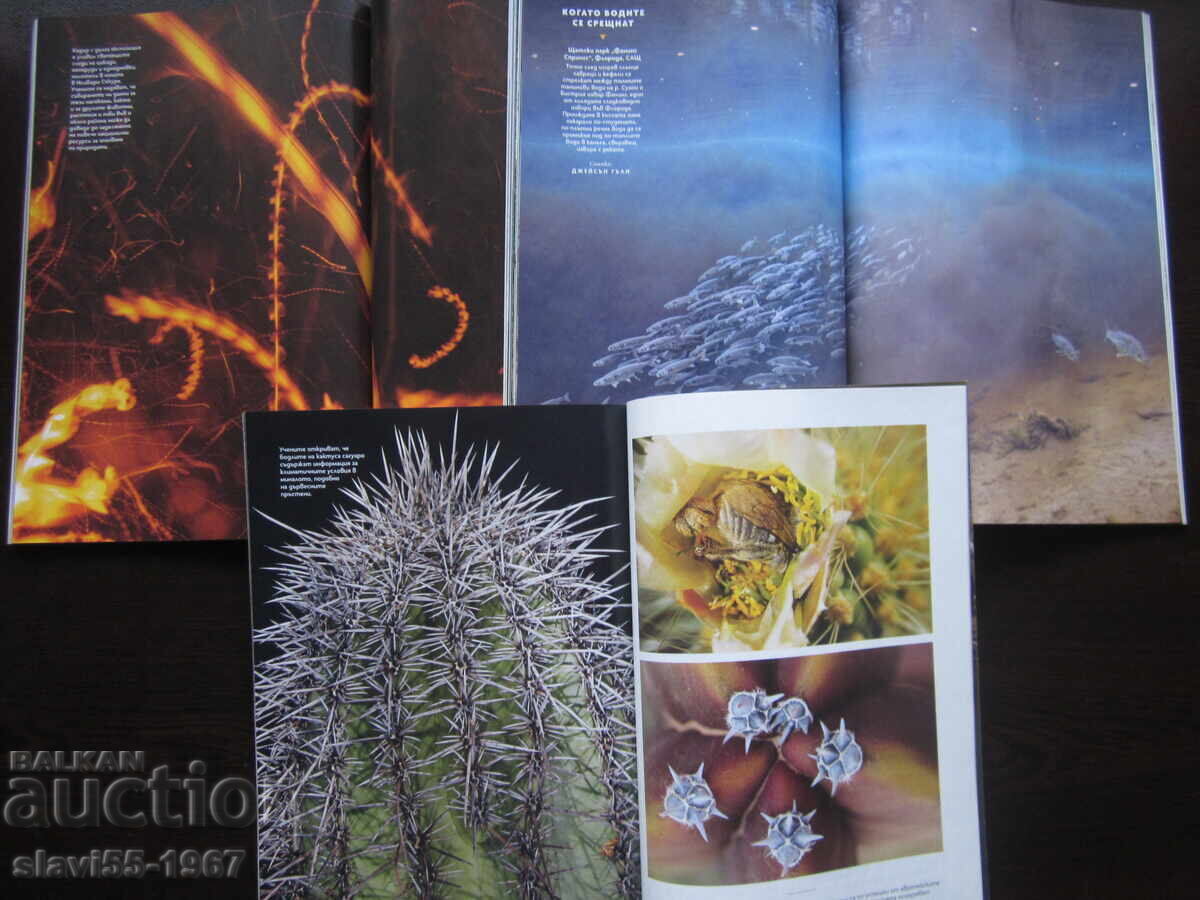 Auction LOT OF MAGAZINES NATIONAL GEOGRAPHIC 2024 BZC !!! Auction LOT OF MAGAZINES NATIONAL GEOGRAPHIC 2024 BZC !!!