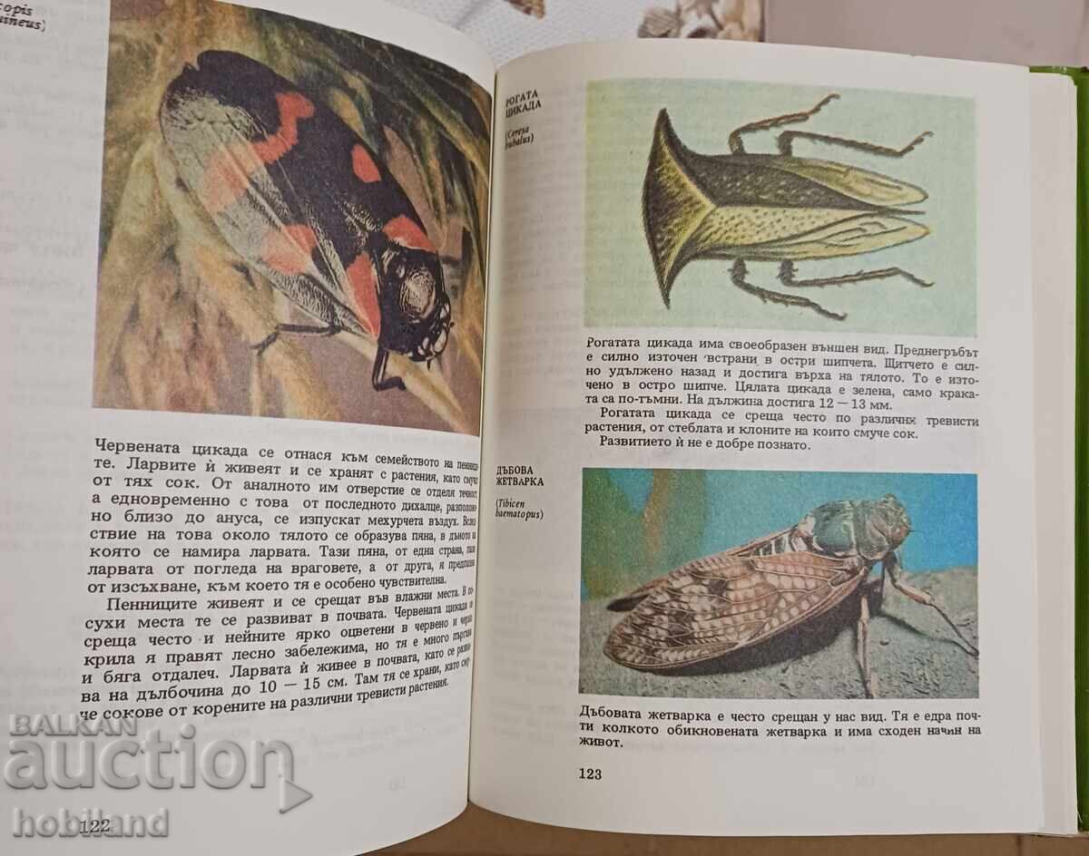 Atlas of Zoology-Invertebrates with price 10.00 BGN | € 5.11 Atlas of Zoology-Invertebrates with price 10.00 BGN | € 5.11