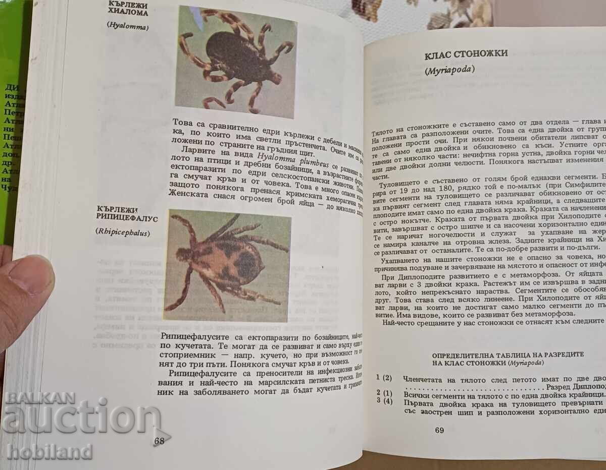 Auction Atlas of Zoology-Invertebrates Auction Atlas of Zoology-Invertebrates