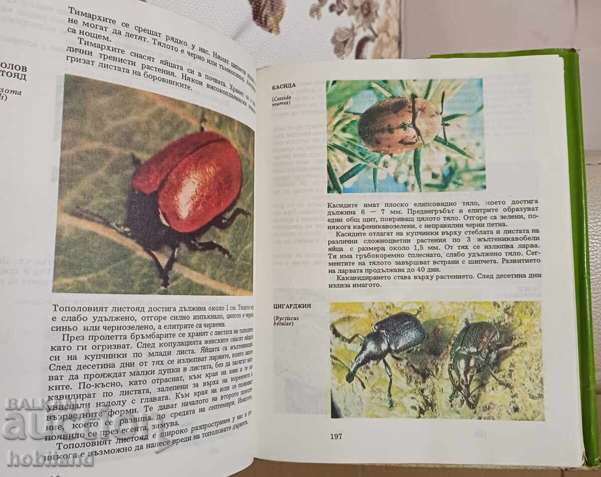 Delivery of Atlas of Zoology-Invertebrates Delivery of Atlas of Zoology-Invertebrates