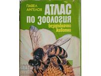 Атлас по зоология-безгръбначни