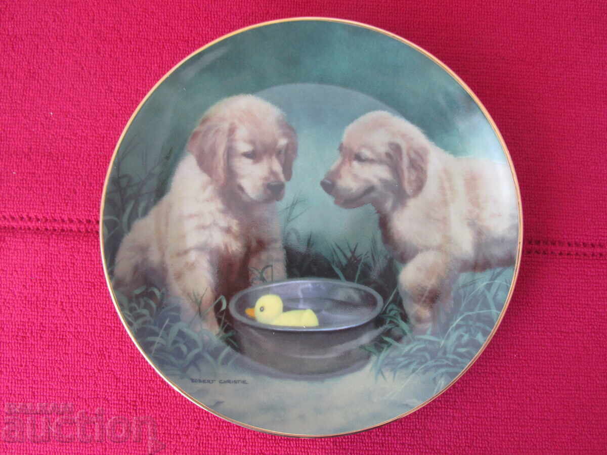 Wall plate, decor, collection Wall plate, decor, collection
