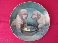 Wall plate, decor, collection