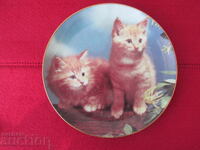 Wall plate, decor, collection