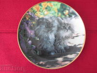 Wall plate, decor, collection