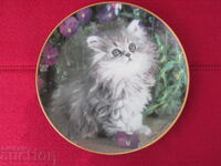 Wall plate, decor, collection