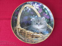 Wall plate, decor, collection