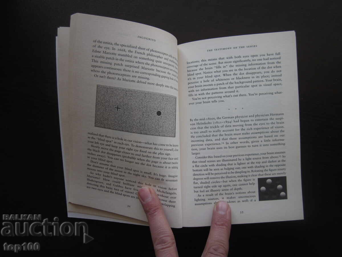 INCOGNITO DAVID EAGLEMAN 2011 BZC!!! με τιμή € 5.00 | 9.78 BGN