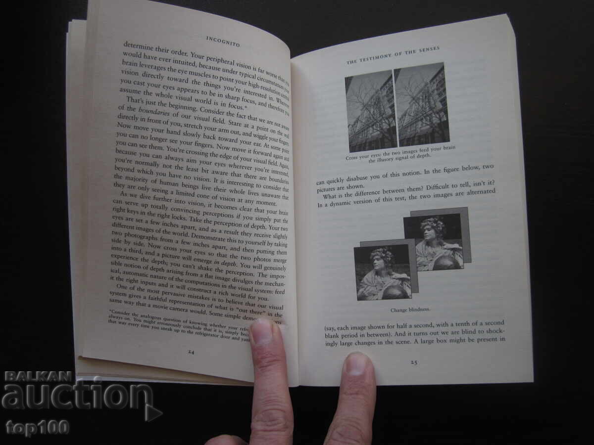 Delivery of INCOGNITO DAVID EAGLEMAN 2011 BZC !!! Delivery of INCOGNITO DAVID EAGLEMAN 2011 BZC !!!