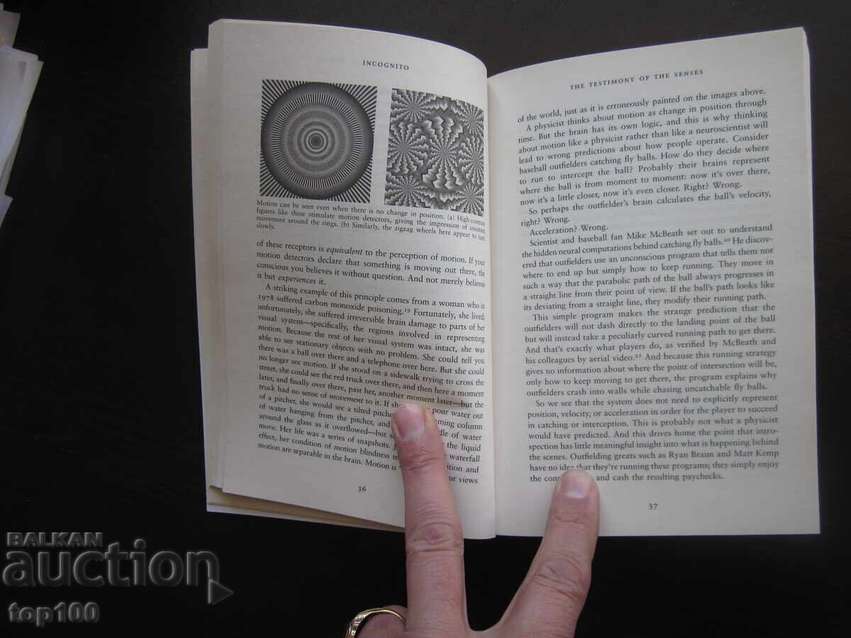 INCOGNITO DAVID EAGLEMAN 2011 BZC !!! - 5 INCOGNITO DAVID EAGLEMAN 2011 BZC !!! - 5