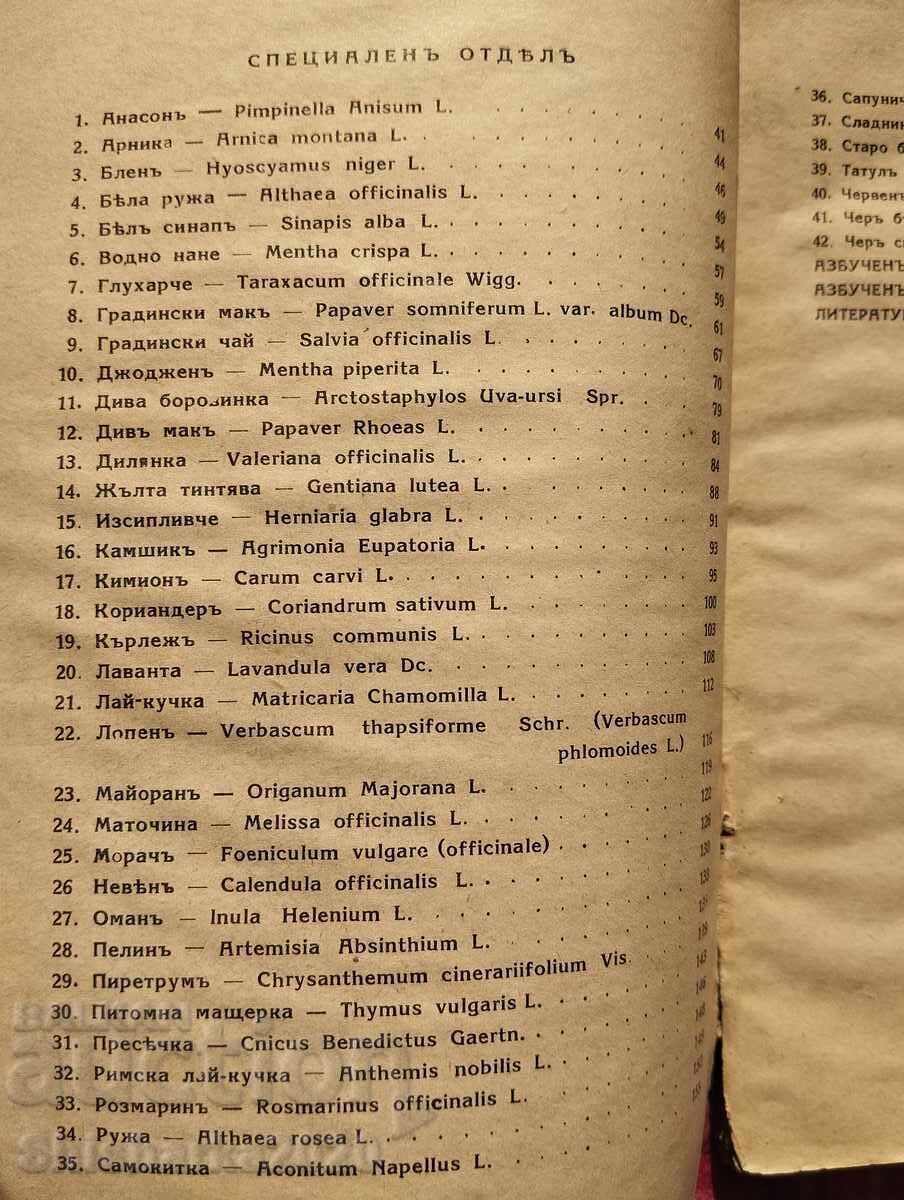 Καλλιέργεια φαρμακευτικών, μπαχαρικών και αρωματικών φυτών - 5
