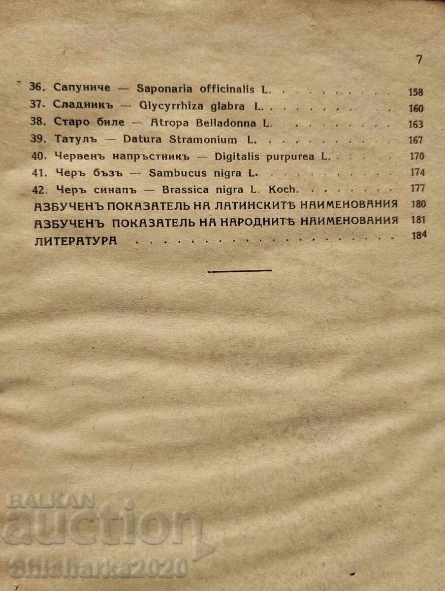 Cultivation of medicinal, spice and aromatic plants - 6 Cultivation of medicinal, spice and aromatic plants - 6