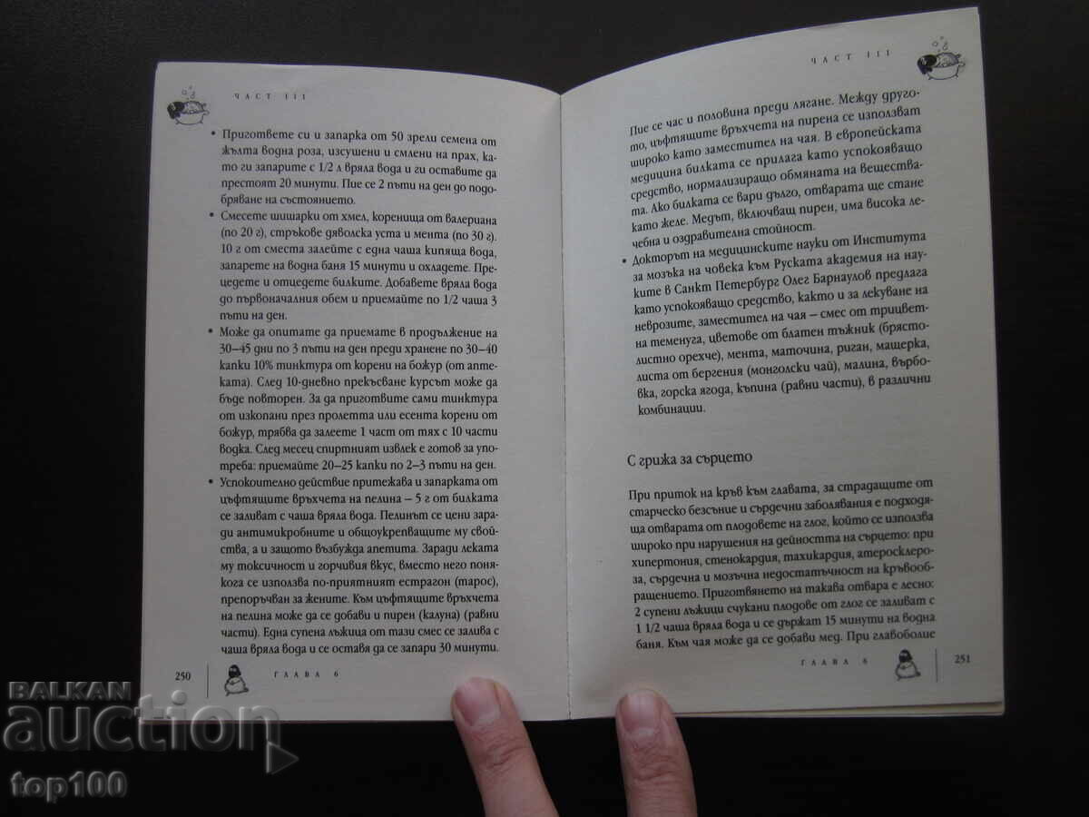 GOODBYE TO INSOMNIA 2015 BZC !!! - 5 GOODBYE TO INSOMNIA 2015 BZC !!! - 5