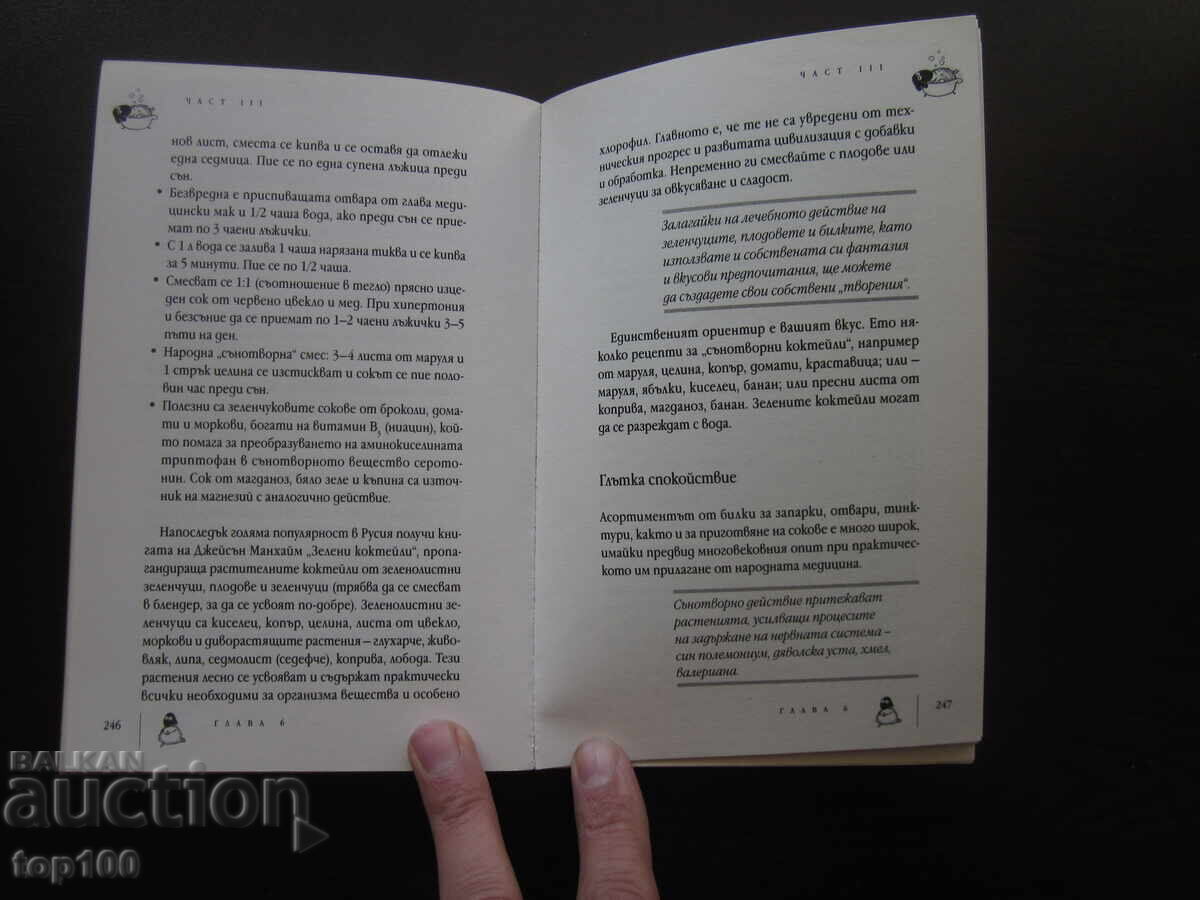 GOODBYE TO INSOMNIA 2015 BZC !!! - 6 GOODBYE TO INSOMNIA 2015 BZC !!! - 6