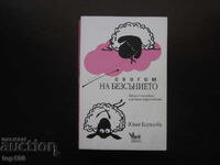 GOODBYE TO INSOMNIA 2015 BZC !!!