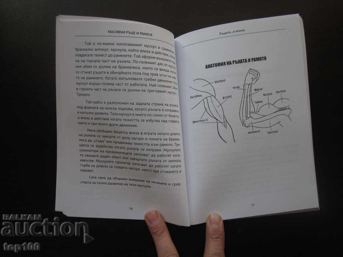 Доставка на МАСИВНИ РЪЦЕ И РАМЕНЕ ОТ ХАРИ ПАСКАЛ 2022г. БЗЦ !!! Доставка на МАСИВНИ РЪЦЕ И РАМЕНЕ ОТ ХАРИ ПАСКАЛ 2022г. БЗЦ !!!