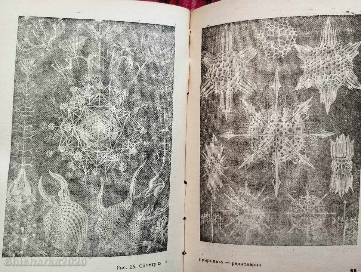 Στον κόσμο των κρυστάλλων - 5 Στον κόσμο των κρυστάλλων - 5