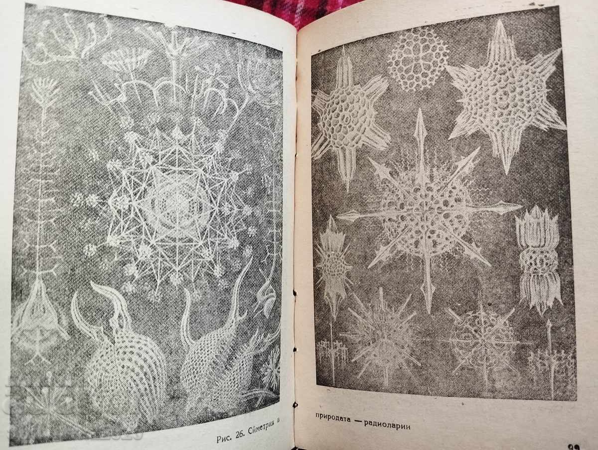 Στον κόσμο των κρυστάλλων - 6 Στον κόσμο των κρυστάλλων - 6