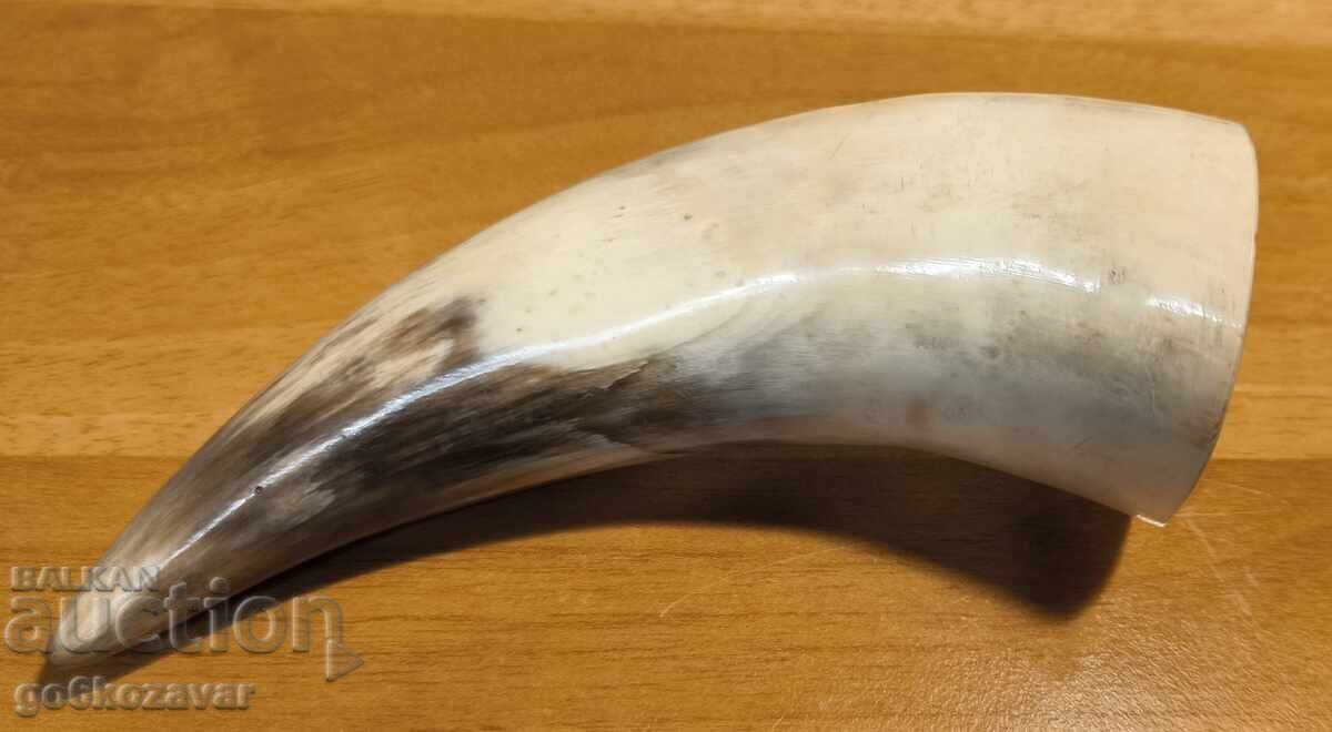 Auction A big, beautiful horn! Auction A big, beautiful horn!